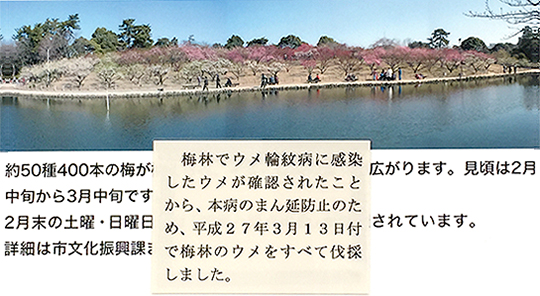 梅の伐採を報告した緑ヶ丘公園地図看板の張り紙